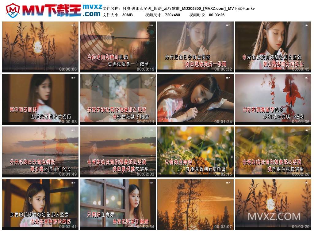 阿泱-没那么坚强_国语_流行歌曲_MD305300